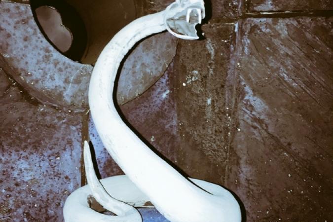 Fort Boyard 2017 - Une serpent blanc sur une boule bleue... (01/06/2017)