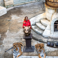 Fort Boyard 2021 - Félindra