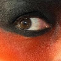 Fort Boyard 2023 - Les tournages
