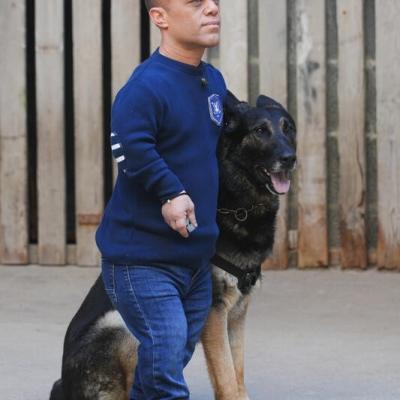 Fort Boyard 2024 - Passe-Muraille et le chien d'attaque