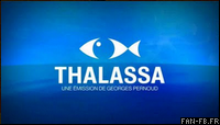 Blog indicatif thalassa 2010