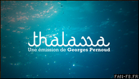 blog-indicatif-thalassa.png