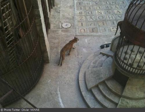 Fort Boyard 2011 - Les tournages