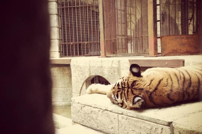 Fort Boyard 2012 - Les tournages