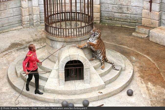 Fort Boyard 2014 - Félindra et les tigres