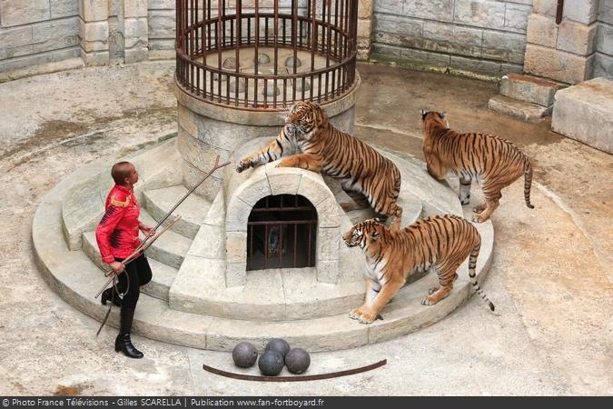 Fort Boyard 2014 - Félindra et les tigres