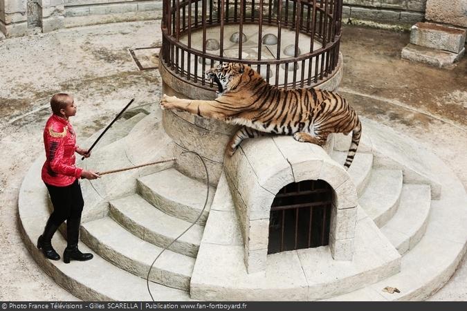 Fort Boyard 2014 - Félindra et les tigres