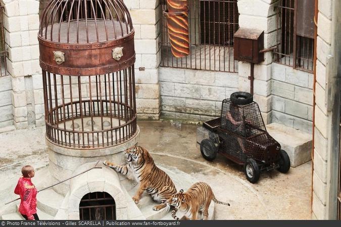 Fort Boyard 2014 - L'aventure du Safari