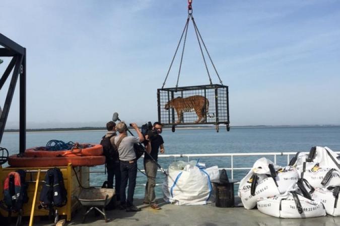 Fort Boyard 2015 : Arrivée des tigres (11/05/2015)