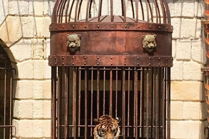 Fort Boyard 2016 - La Fontaine à Boyards (10/06/2016)