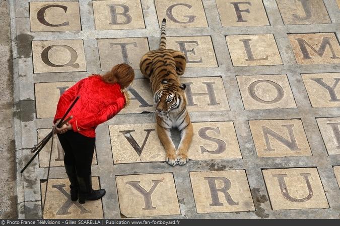 Fort Boyard 2018 - Félindra