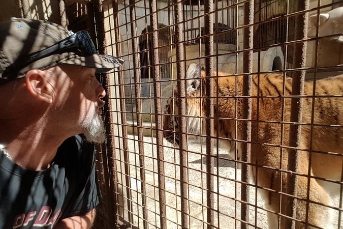 Fort Boyard 2018 - Vincent Lagaf' rencontre les tigres (18/05/2018)