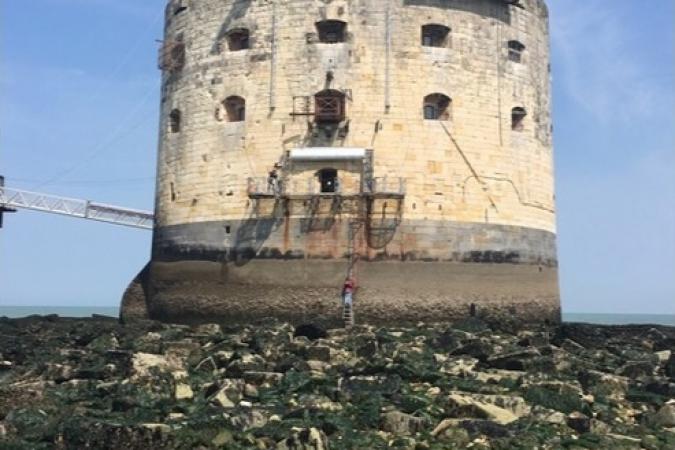 Fort Boyard 2018 - Marée très basse autour du fort (25/05/2018)