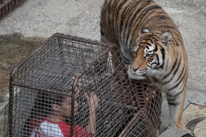 Fort Boyard 2019 - Equipe 7 - Fondation Tara Océan (03/08/2019)