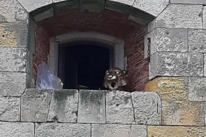 Fort Boyard 2019 - Scéne insolite sur une fenêtre du fort (10/05/2019)