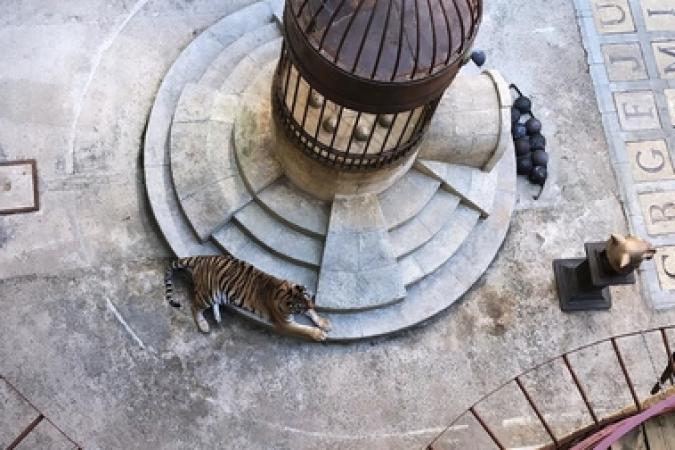 Fort Boyard 2019 - Les tigres sont en pause (20/05/2019)