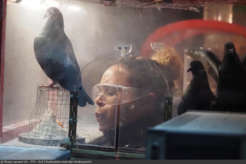 [Spoilers] Présentation > Fort Boyard 2020-06 - Fondation Hôpitaux de Paris - Hôpitaux de France (15/08/2020) Fort-boyard-2020-officielle-equipe06-16