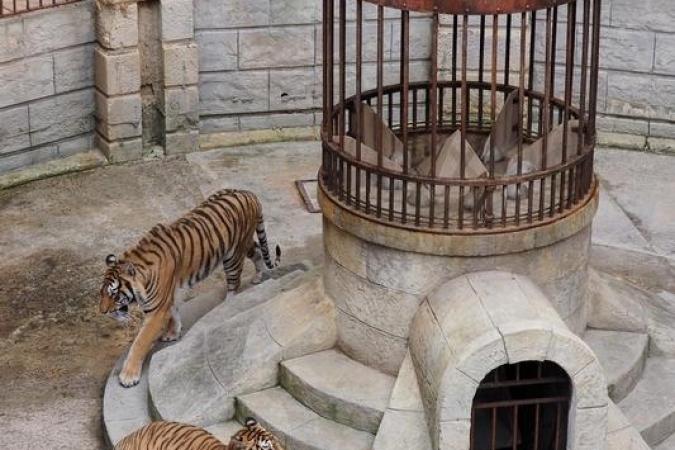 Fort Boyard 2020 - La Fontaine à Boyards divisée