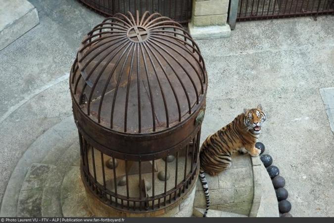 Fort Boyard 2020 - Un tigre sur la Fontaine à Boyards de la Salle du Trésor