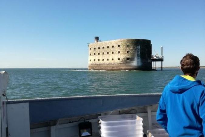 Fort Boyard 2020 - Arrivée matinale au fort (19/05/2020)