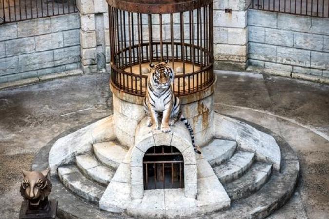 Fort Boyard 2021 - La Salle du Trésor