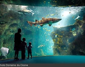 L'aquarium de la Rochelle