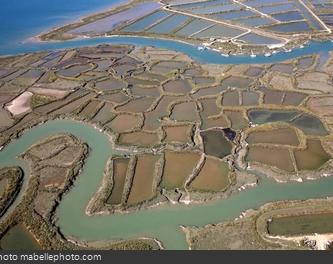 Vue aérienne des marais