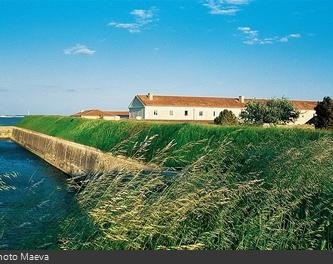 Les douves du Fort de la Rade