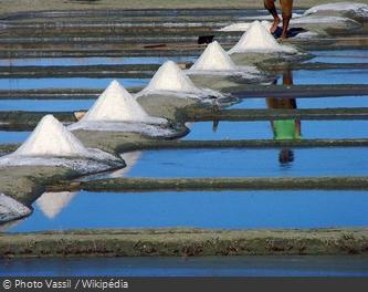 Les marais salants de l'île de Ré