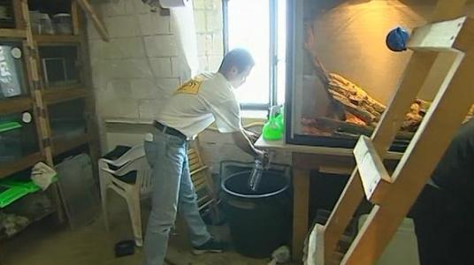 Cellules-coulisses de Fort Boyard - Animalerie en cellule 215A (2004)