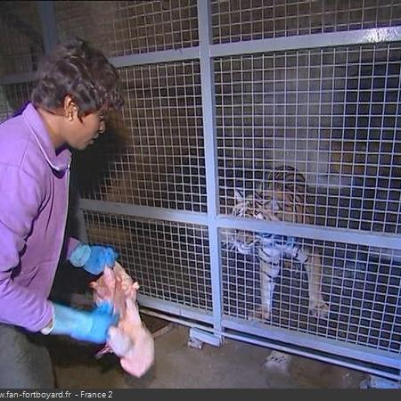 Coulisses des tournages de Fort Boyard - Fauverie en cellule 006 (2004)