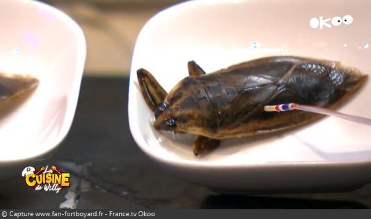 La Cuisine de Willy 2020-08 - Nour et Adam (la dégustation : Punaises d'eau géantes)