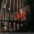 Fort Boyard : Prison depuis 2017