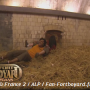 Le Meilleur de Fort Boyard n°11 - Lundi 24 août 2009