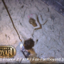 Le Meilleur de Fort Boyard n°5 - Vendredi 7 août 2009