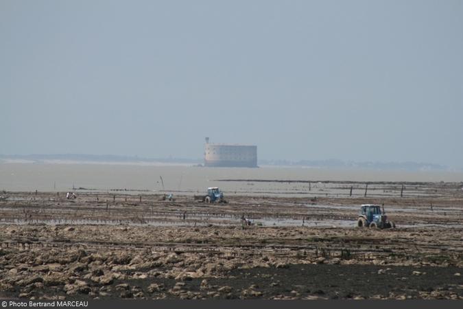 Fort Boyard 2012 : Le tour du Fort de Bertrand