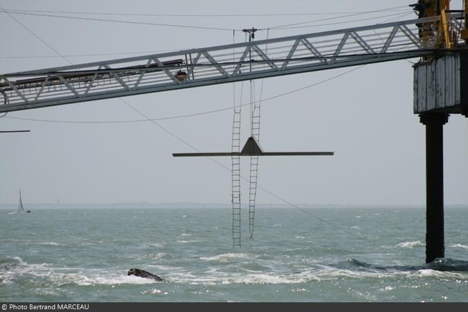 Fort Boyard 2012 : Le tour du Fort de Bertrand